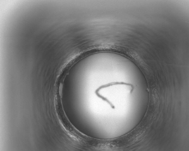 X0000059040728200510211933