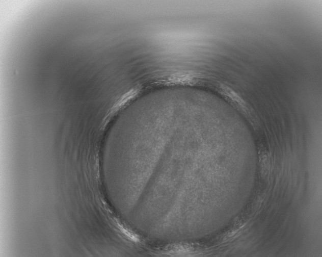 X0000059040729200510211933