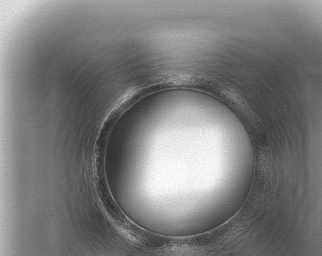 X0000059040730200510211933