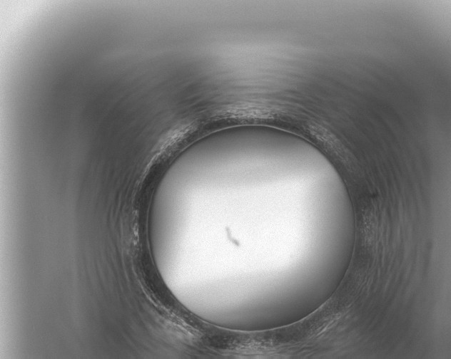 X0000059040731200510211933