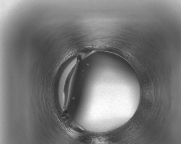 X0000059040735200510211933