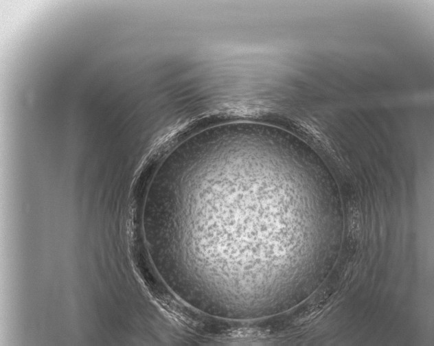 X0000059040736200510211933