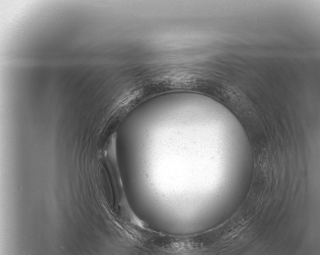 X0000059040744200510211933