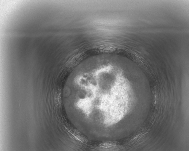 X0000059040745200510211933