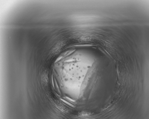 X0000059040746200510211933