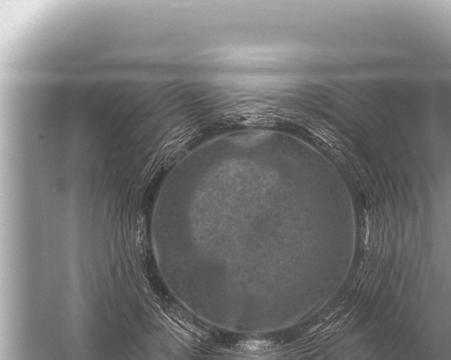 X0000059040748200510211933