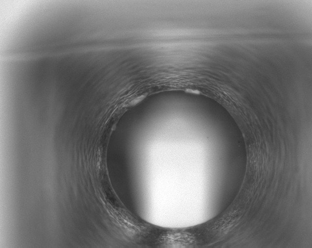 X0000059040752200510211933