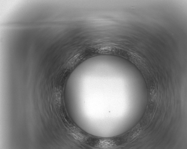 X0000059040753200510211933