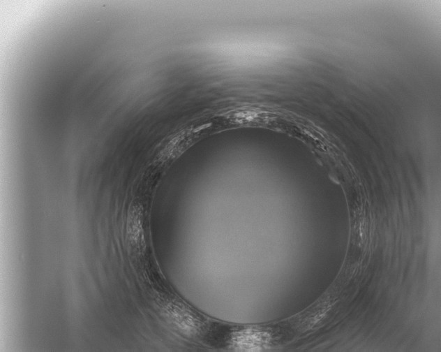 X0000059040754200510211933