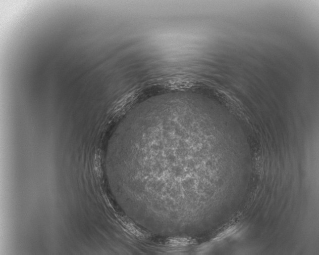 X0000059040757200510211934