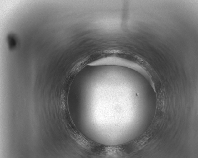 X0000059040762200510211934