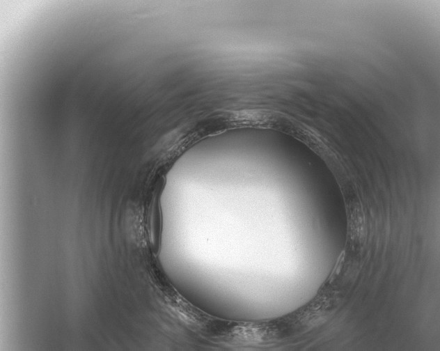 X0000059040764200510211934