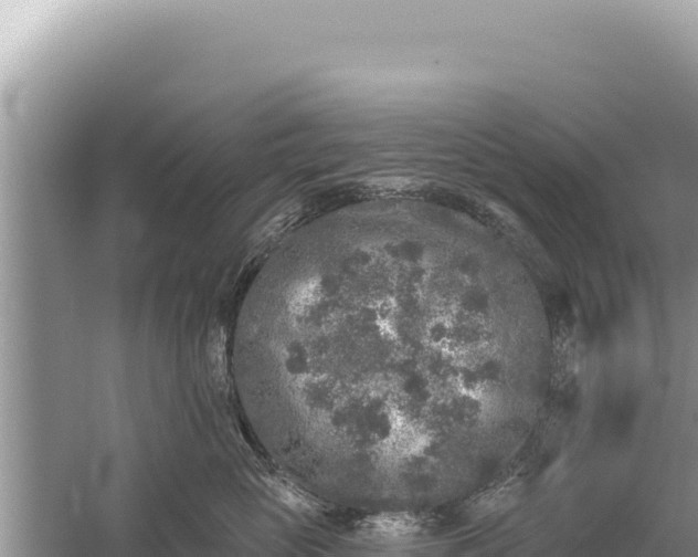 X0000059040765200510211934