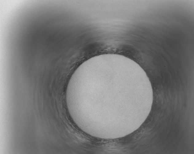 X0000059040769200510211933