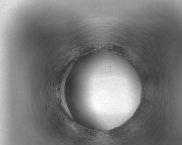 X0000059040770200510211933