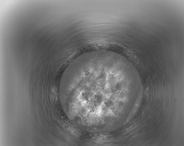 X0000059040772200510211933