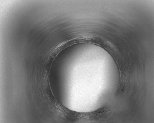 X0000059040773200510211933