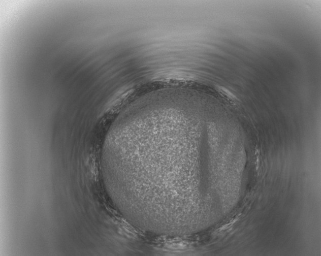 X0000059040774200510211933