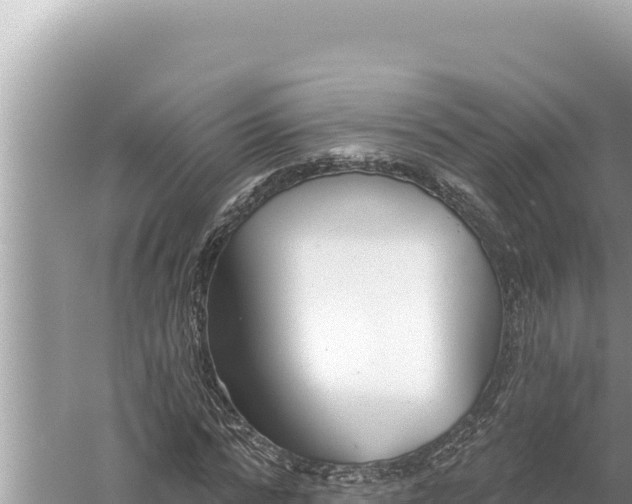 X0000059040776200510211933