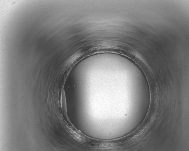 X0000059040777200510211933