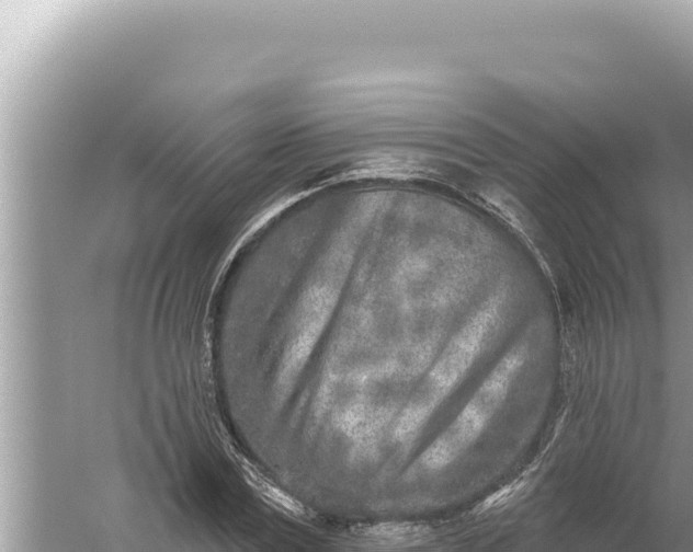 X0000059040779200510211933