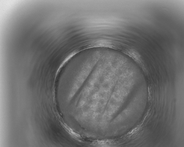 X0000059040780200510211933