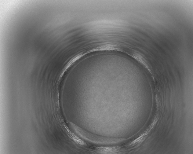 X0000059040781200510211933