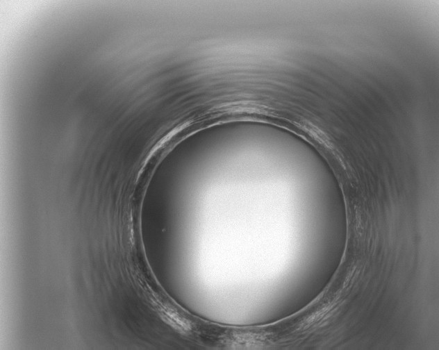 X0000059040782200510211933