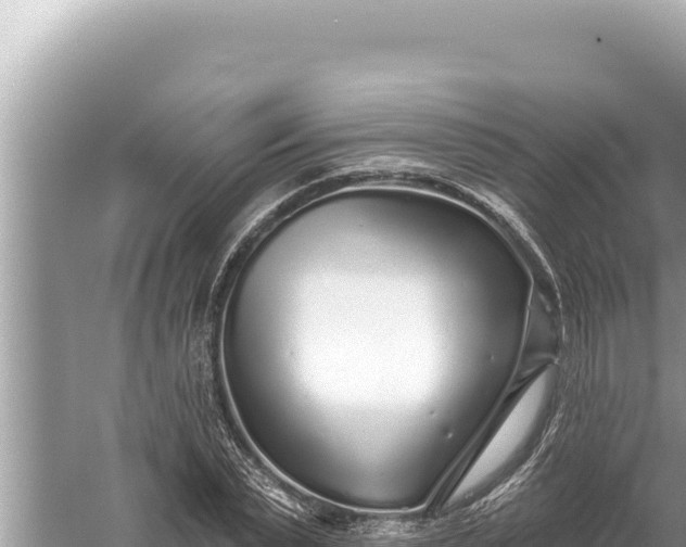 X0000059040783200510211933