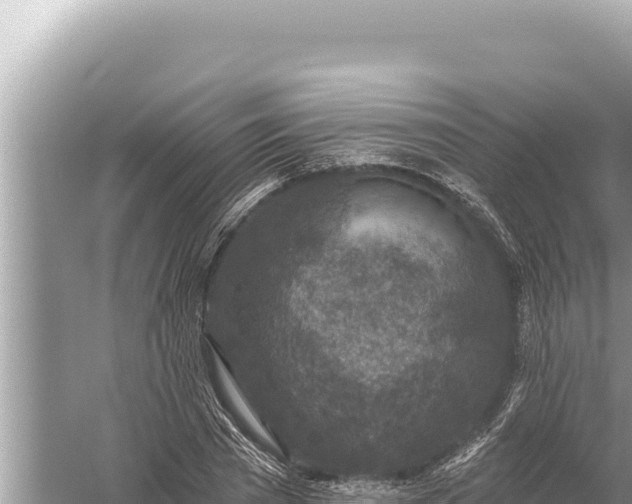 X0000059040785200510211933