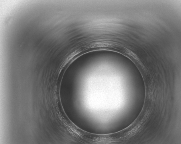 X0000059040786200510211933