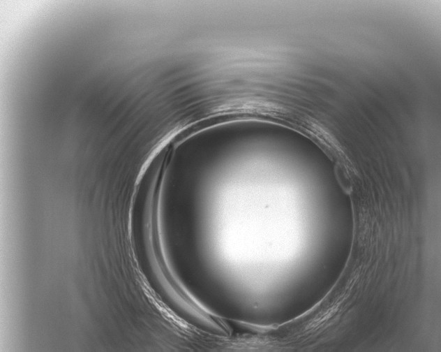 X0000059040788200510211933