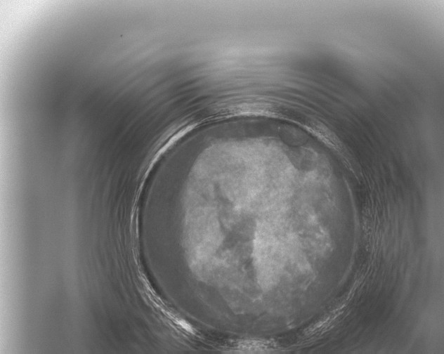 X0000059040790200510211933