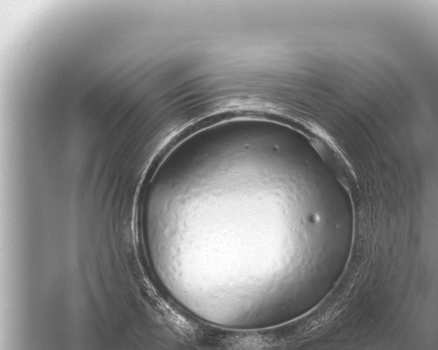 X0000059040791200510211933