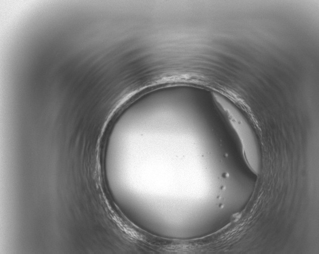 X0000059040792200510211933