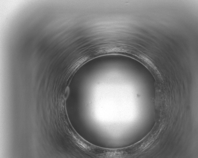 X0000059040793200510211932