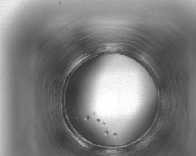 X0000059040794200510211932