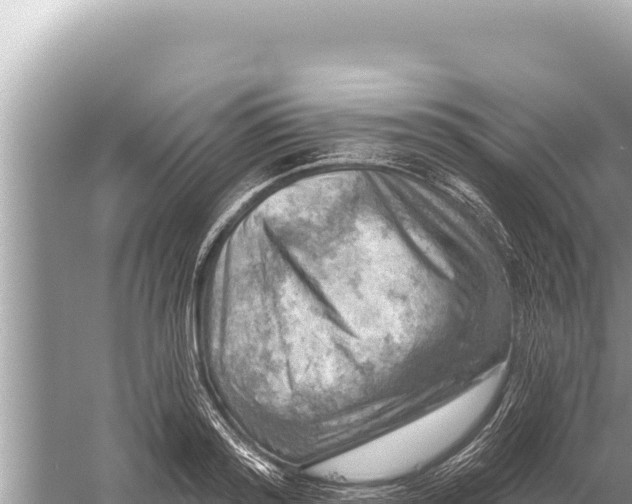 X0000059040796200510211932