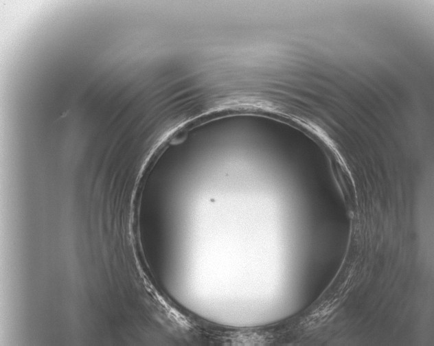 X0000059040799200510211932