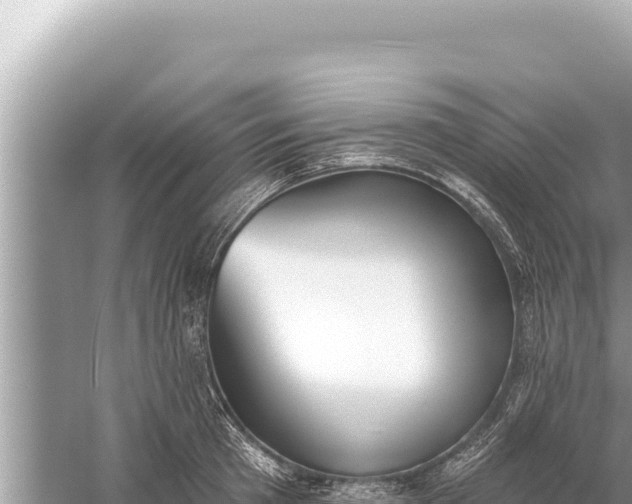 X0000059040801200510211932