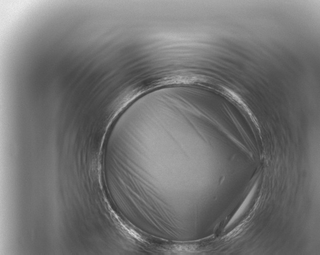 X0000059040802200510211932