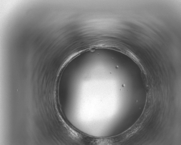 X0000059040803200510211932