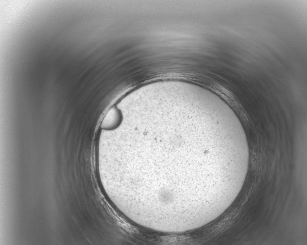 X0000059040804200510211932