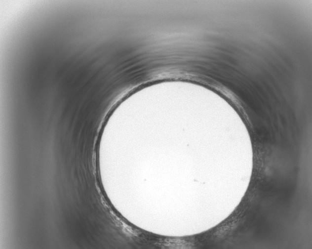 X0000059040807200510211932