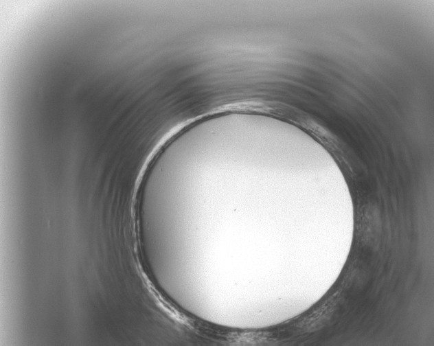 X0000059040808200510211932