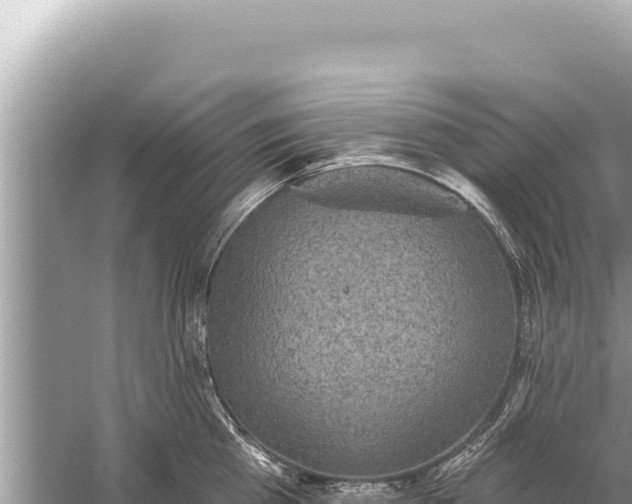 X0000059040809200510211932