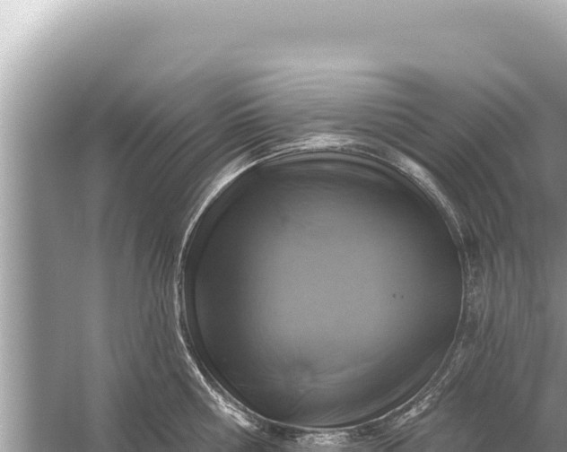 X0000059040810200510211932