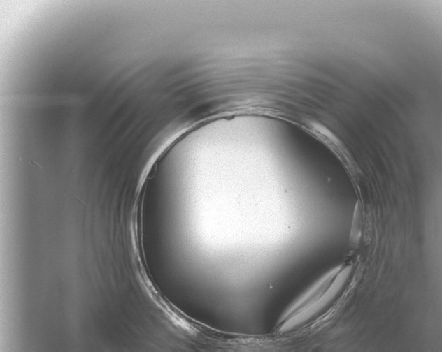 X0000059040812200510211932