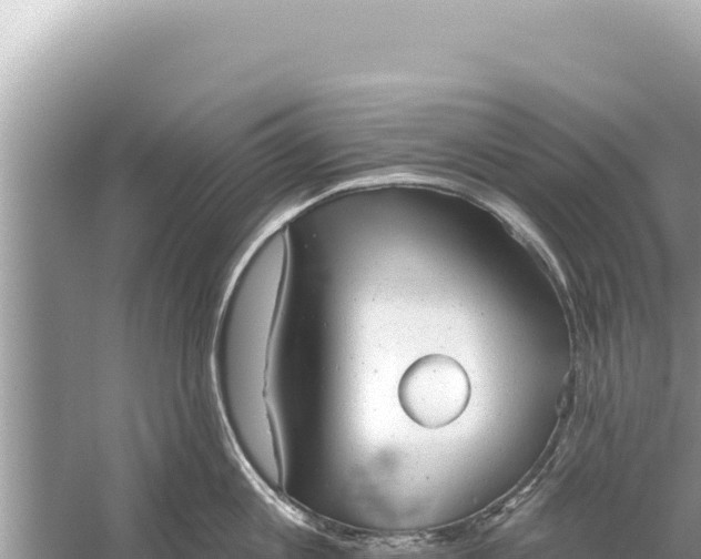 X0000059040813200510211932