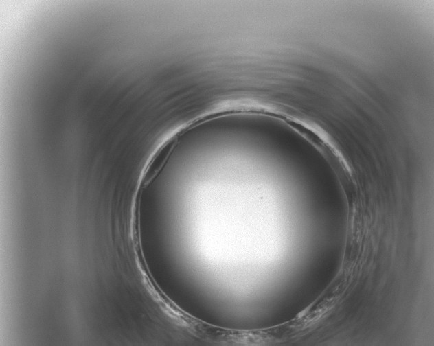 X0000059040815200510211932